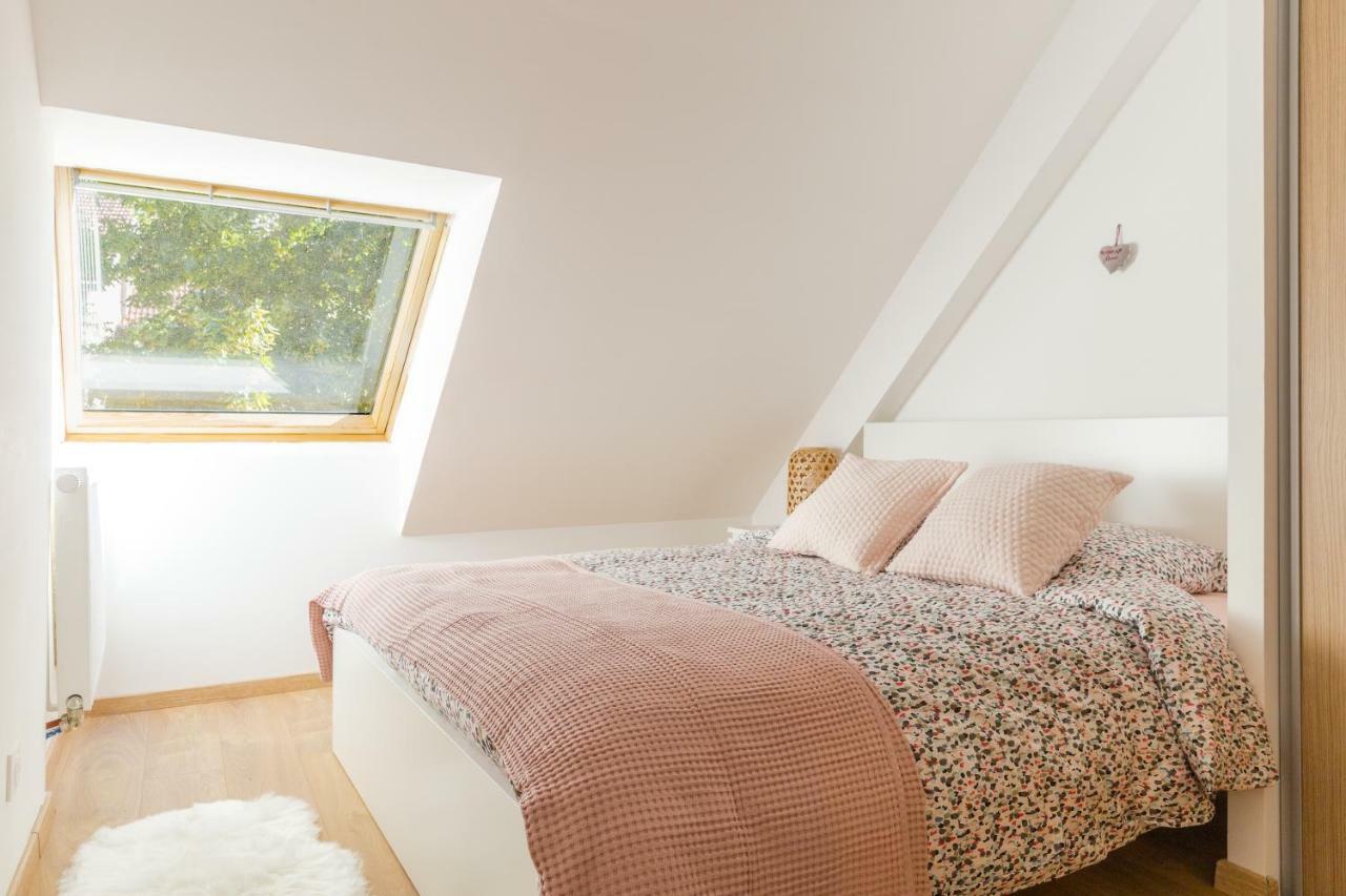 Appartement De Standing 8 Personnes Centre Historique De Κολμάρ Εξωτερικό φωτογραφία